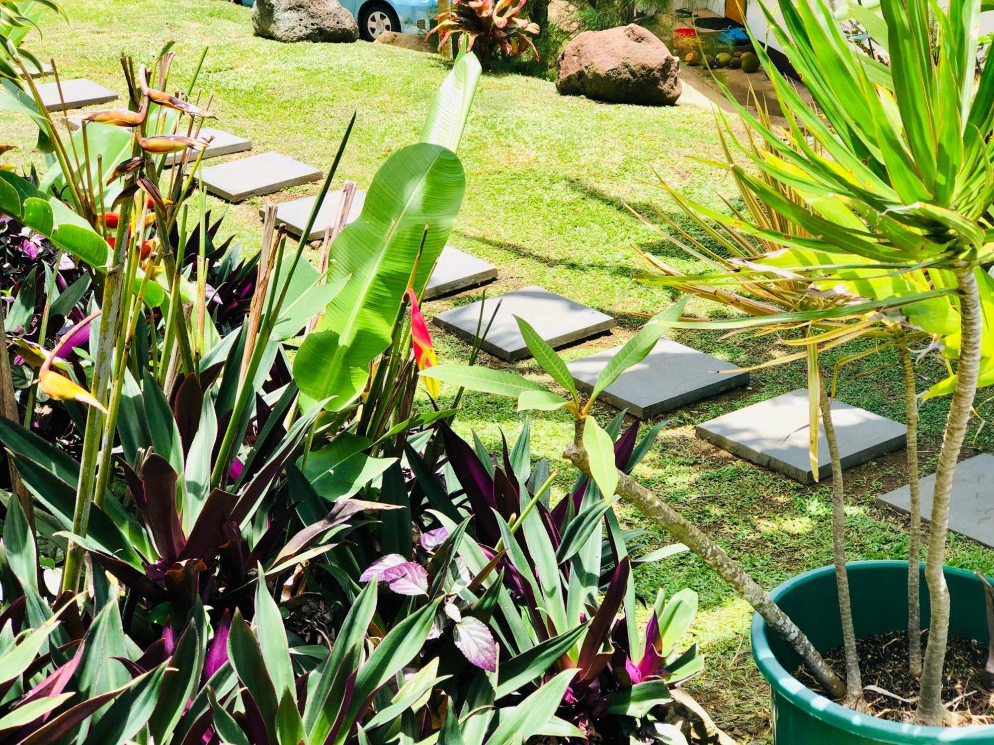 Muri Vista Villas Rarotonga Bagian luar foto